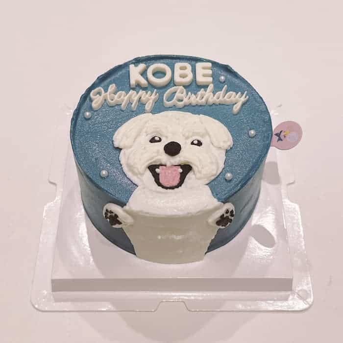 Trần Ngọc Huyền avatar