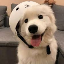 Nguyễn Đình Nam avatar